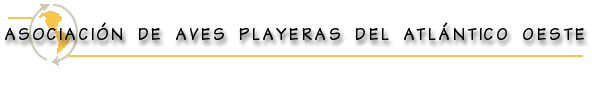 Asociaci�n de Aves Playeras del Atl�ntico Occidental
