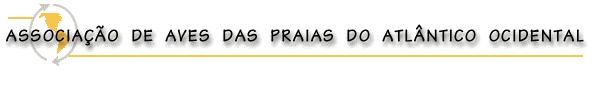 Associa��o de Aves de Praia del Atl�ntico Ocidental