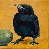 Birds 5