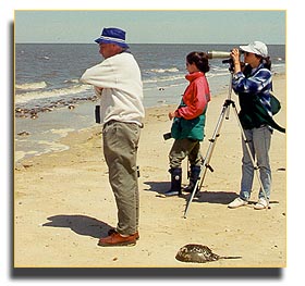 Shorebird watchers, Delaware